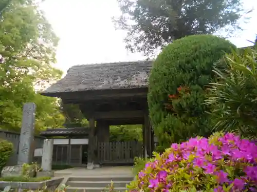 極楽寺（霊鷲山感應院極楽律寺）の山門