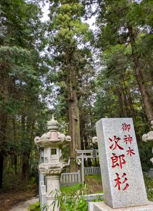 大杉神社(茨城県)
