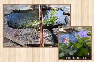 阿智神社の手水舎