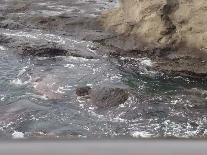 江島神社の自然