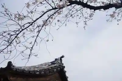 新井薬師（梅照院）のその他建物
