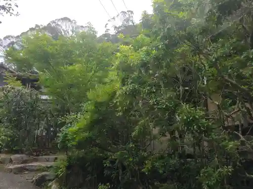 東禅院(京都府)