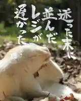 専念寺(大阪府)