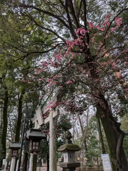 布多天神社(東京都)