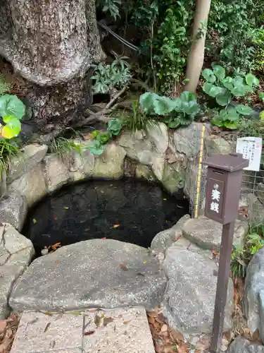 師岡熊野神社(神奈川県)