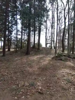 十社神社(埼玉県)