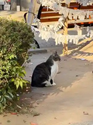 柏諏訪神社(千葉県)