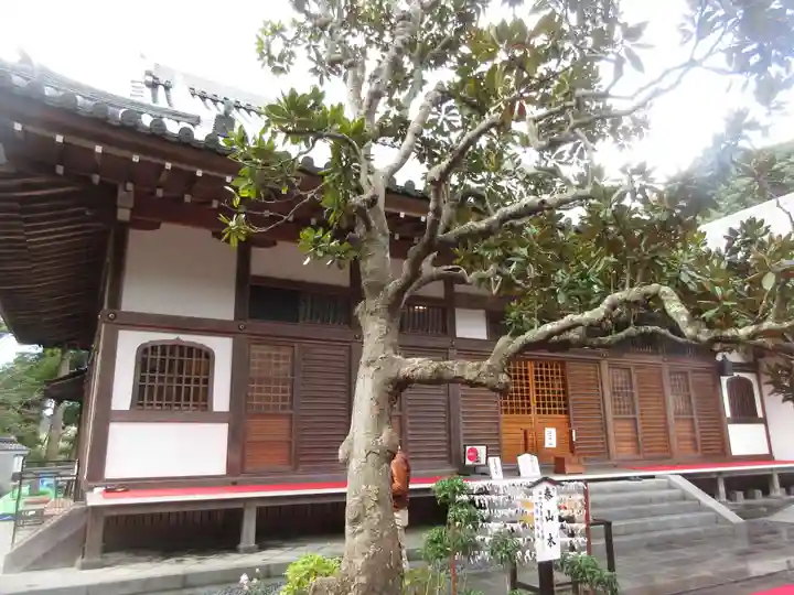 佛日庵の本殿・本堂