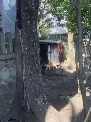 冨士八幡社(愛知県)