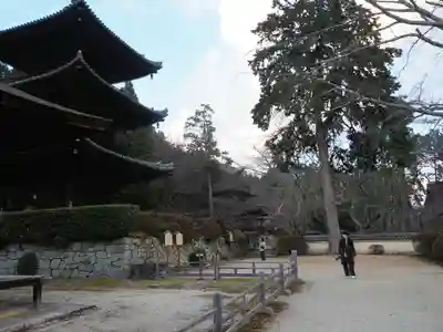 園城寺（三井寺）の本殿・本堂