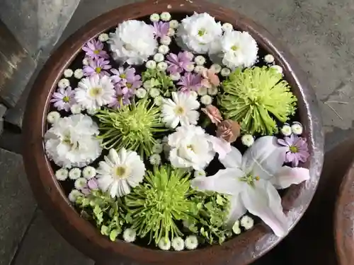 多賀神社の手水舎