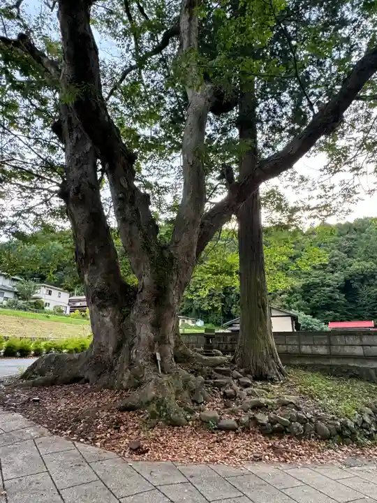 諏訪大社上社前宮(長野県)