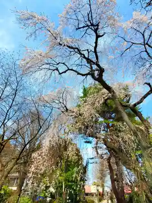 関川寺(福島県)