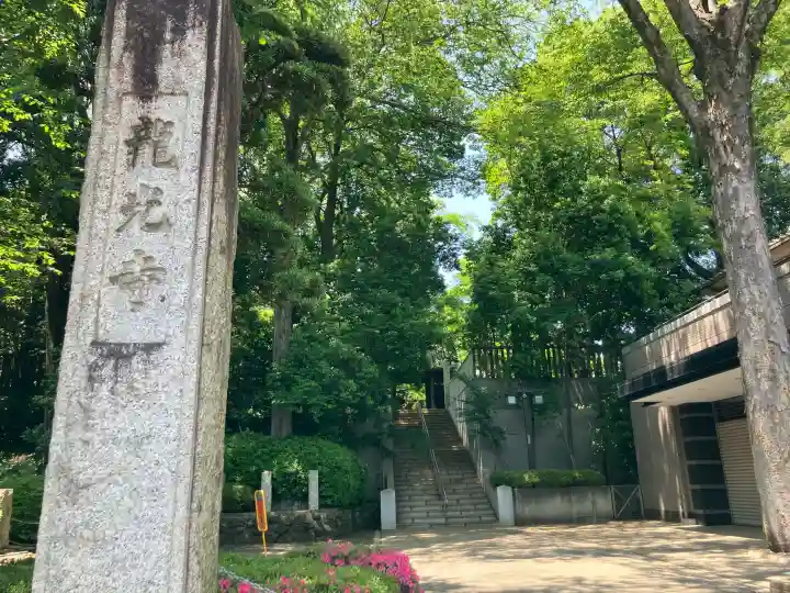 龍光寺の{uncategorized: "未分類", other: "その他", undefined: "問題あり", building: "その他建物", grave: "お墓", sacred_gate: "鳥居", guardian: "狛犬", statue: "像", buddha: "仏像", history: "歴史", nature: "自然", garden: "庭園", animal: "動物", pagoda: "塔", temizu: "手水舎", mountain_gate: "山門・神門", sanctuary: "本殿・本堂", subordinate: "末社・摂社", art: "芸術", scenery: "景色", jizo: "地蔵", ema: "絵馬", goshuin: "御朱印", omikuji: "おみくじ", items: "授与品その他", amulet: "お守り", goshuincho: "御朱印帳", eats: "食事", festival: "お祭り", votive_dance: "神楽", shichigosan: "七五三参", wedding: "結婚式", experience: "体験その他", initially: "初詣", around: "周辺", anti_infection: "感染症対策"}