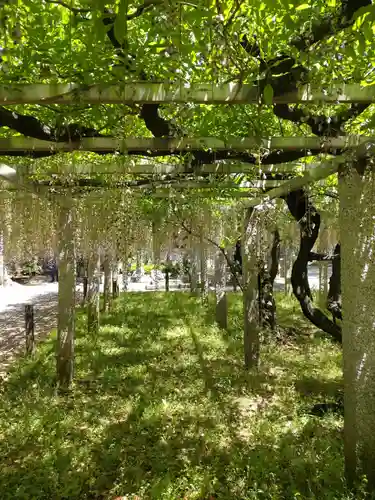 三大神社の自然