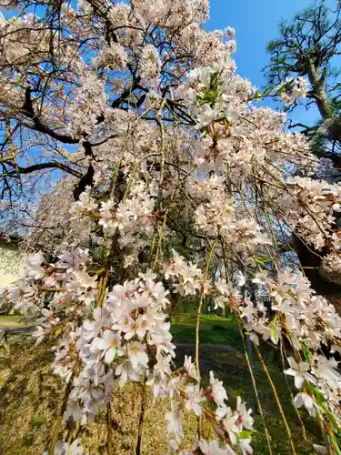大隣寺(福島県)