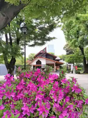 増上寺塔頭 三縁山 宝珠院の本殿・本堂