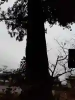 八坂神社(岩手県)