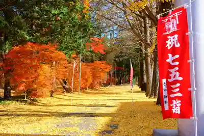 青柳神社の景色
