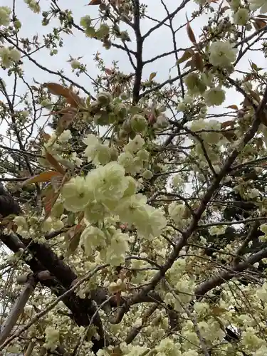 上地八幡宮(愛知県)