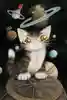 ダヤンさんのプロフィール画像