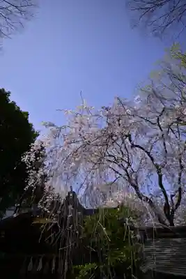 子安神社(東京都)