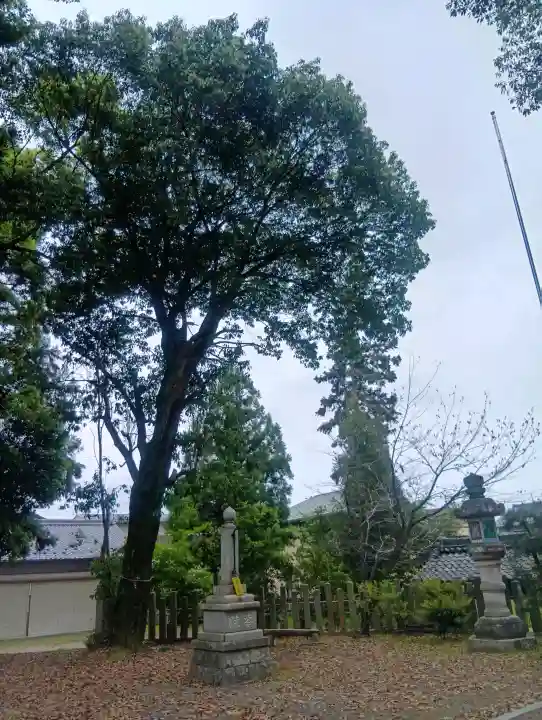 多賀神社の{uncategorized: "未分類", other: "その他", undefined: "問題あり", building: "その他建物", grave: "お墓", sacred_gate: "鳥居", guardian: "狛犬", statue: "像", buddha: "仏像", history: "歴史", nature: "自然", garden: "庭園", animal: "動物", pagoda: "塔", temizu: "手水舎", mountain_gate: "山門・神門", sanctuary: "本殿・本堂", subordinate: "末社・摂社", art: "芸術", scenery: "景色", jizo: "地蔵", ema: "絵馬", goshuin: "御朱印", omikuji: "おみくじ", items: "授与品その他", amulet: "お守り", goshuincho: "御朱印帳", eats: "食事", festival: "お祭り", votive_dance: "神楽", shichigosan: "七五三参", wedding: "結婚式", experience: "体験その他", initially: "初詣", around: "周辺", anti_infection: "感染症対策"}