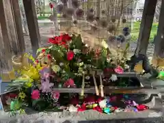 彌彦神社　(伊夜日子神社)(北海道)