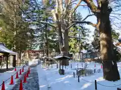 住吉神社の建物その他