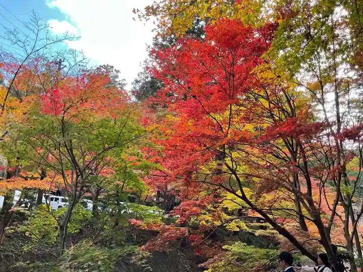小國神社(静岡県)