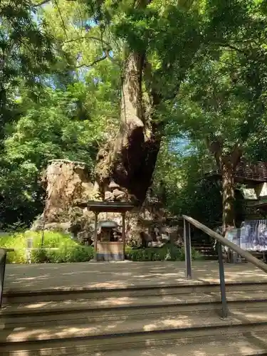 來宮神社(静岡県)
