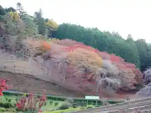 零羊崎神社(宮城県)(2021年11月19日(金) 13時03分07秒投稿)