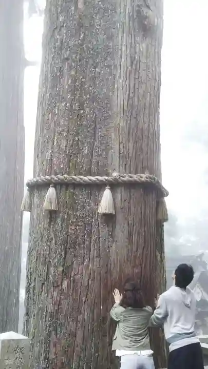 三峯神社の自然