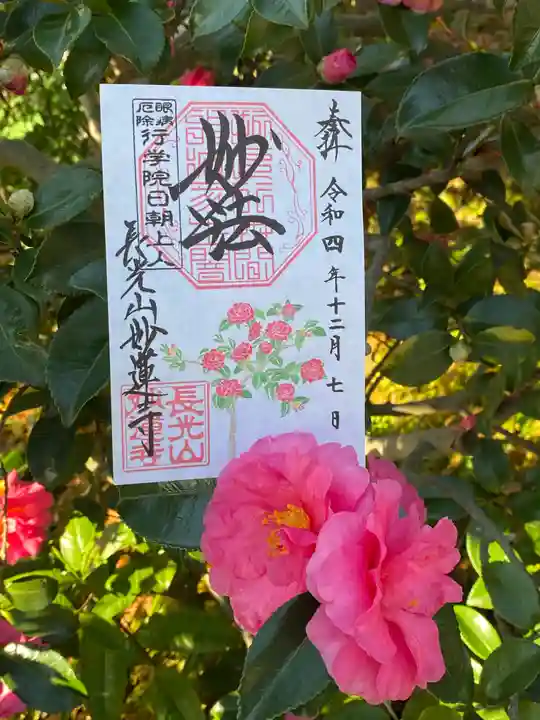 妙蓮寺(神奈川県)