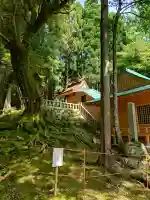 赤猪岩神社の{uncategorized: "未分類", other: "その他", undefined: "問題あり", building: "その他建物", grave: "お墓", sacred_gate: "鳥居", guardian: "狛犬", statue: "像", buddha: "仏像", history: "歴史", nature: "自然", garden: "庭園", animal: "動物", pagoda: "塔", temizu: "手水舎", mountain_gate: "山門・神門", sanctuary: "本殿・本堂", subordinate: "末社・摂社", art: "芸術", scenery: "景色", jizo: "地蔵", ema: "絵馬", goshuin: "御朱印", omikuji: "おみくじ", items: "授与品その他", amulet: "お守り", goshuincho: "御朱印帳", eats: "食事", festival: "お祭り", votive_dance: "神楽", shichigosan: "七五三参", wedding: "結婚式", experience: "体験その他", initially: "初詣", around: "周辺", anti_infection: "感染症対策"}