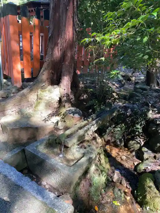 大田神社(賀茂別雷神社境外摂社)(京都府)