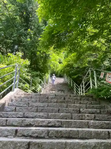新倉富士浅間神社(山梨県)