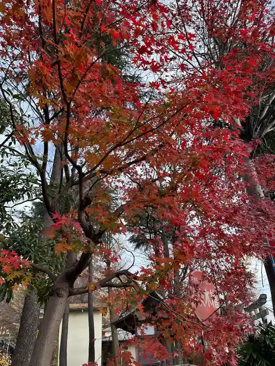 小野神社の自然