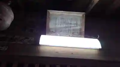 龍珠院の末社・摂社