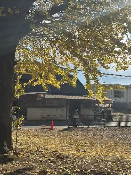 三芳野神社(埼玉県)