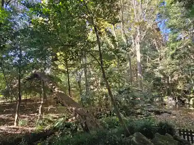 武蔵一宮氷川神社(埼玉県)