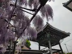 竹鼻別院(岐阜県)