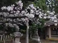 春日神社(福井県)