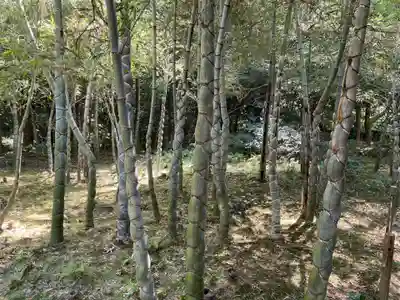 浄住寺(京都府)