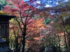 大矢田神社の自然