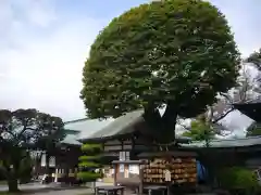 足利織姫神社の建物その他