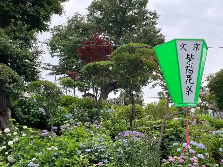 白山神社の自然