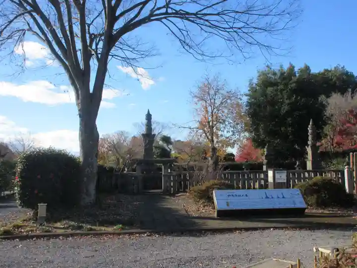 善導寺(群馬県)