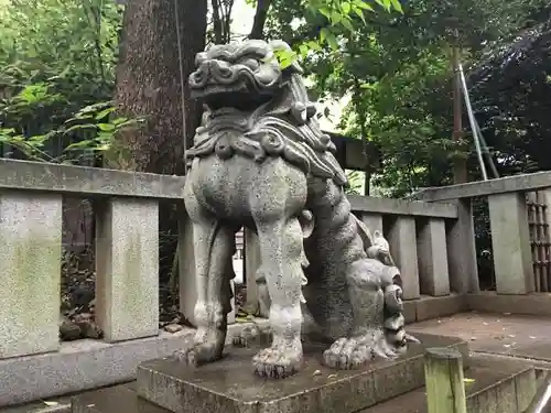 渋谷氷川神社の狛犬