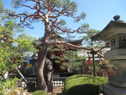 善光寺大本願(長野県)